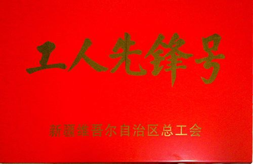 G575土建二標項目喜獲新疆維吾爾自治區(qū)“工人先鋒號”榮譽稱號3.jpg
